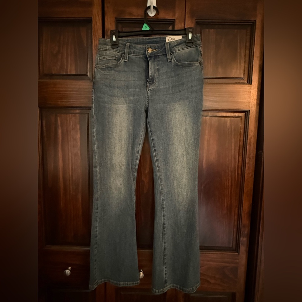 Stylish Blue Flare Jeans for Women